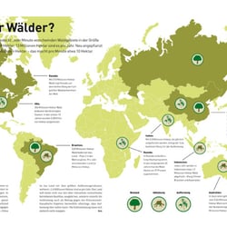 Infographic „Planet der Wälder?“, kontinente 03/12