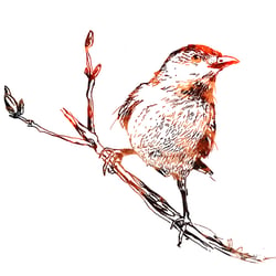 on the branch