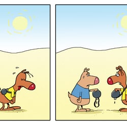 Wüstentrip