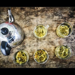 Slanted-Publishers-Tea-Trip 05