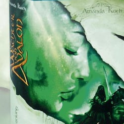 Buch Cover DWVA 1