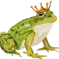 Frog prince