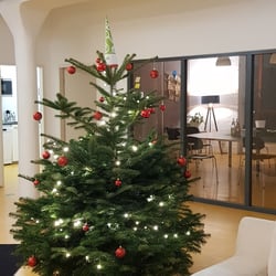 Frohes Fest!