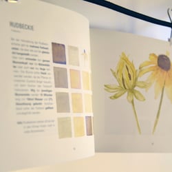 Rudbeckie