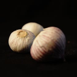 No0269 small