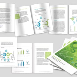 Stefan-Sturm-Grafikdesign BIU Jahresreport 2017