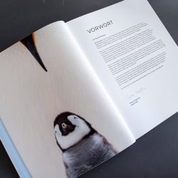 Vorwort „Das Leben der Pinguine“