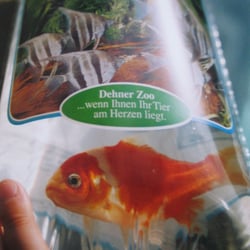 Er sehnte sich nach Freiheit, nach dem großen See, nach der Sonne und Liebe…