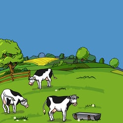 Bärchenland 3