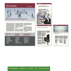 Cint Consulting Geschäftsdrucksachen Layout