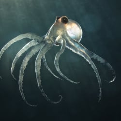 Mini Octopus I | TiefenWerft
