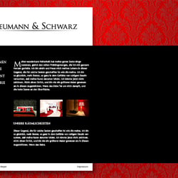 Neumann & Schwarz Webseite