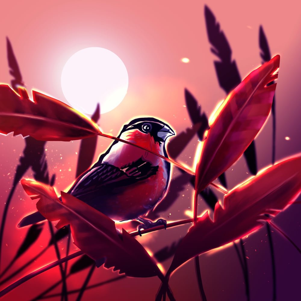 Vogelsommer Poster-aus der Reihe-Vogelliebe-