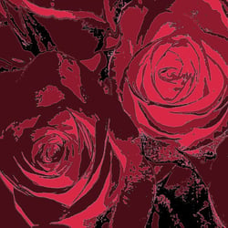 Rosen grafisch