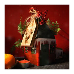 Christmas Cabin (Art Craft filled with cookies)
