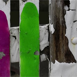 Colours
