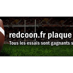 Rugby Weltmeisterschaft in Frankreich