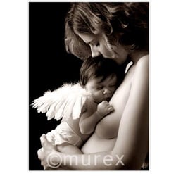 murex4