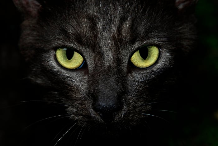 Catseye