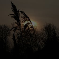 1 (FILEminimizer)