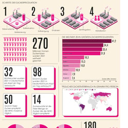 Informationsgrafik Zuckerherstellung Variante
