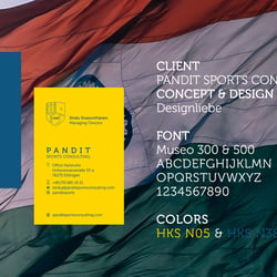 Pandit Consulting 05