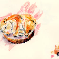 Eichhörnchen – Mixed-Media-Illustration