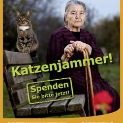 Katzenjammer 1