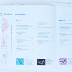 Innenseiten von connexi Magazin