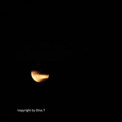 Moon – Jun. 2014 © by Dina.T