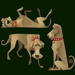 schnautzer character
