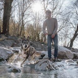 Wolfshund Kampagnen Shooting für Zooplus