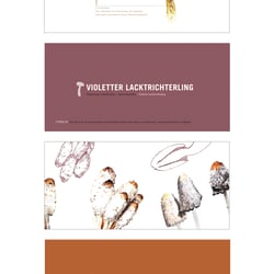 kleines buch