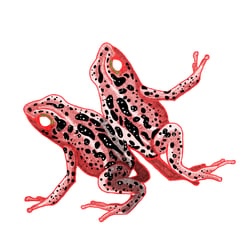 Frosch