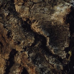 Holzkern 2.1.3