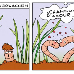 Chanson d’Amour