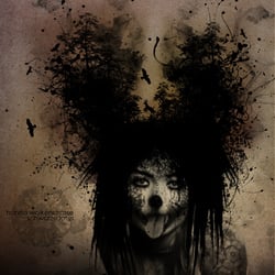 Vinyl Cover