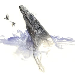 pliosaurus