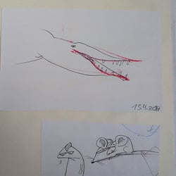 Crazy Creatures