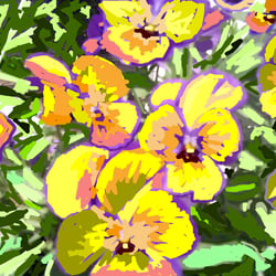 image 0014überarb.