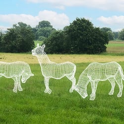Wireframe