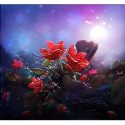 Blumen&Bretter
