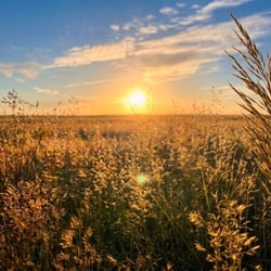 Landschaftsfotografie