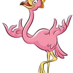 Flamingo