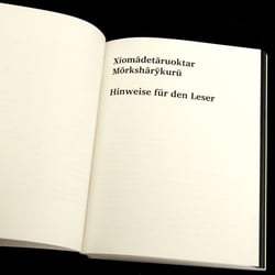 Aufgeschlagen.02.01