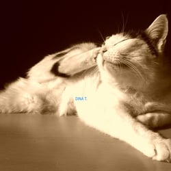 Bastet in Sepia No 01