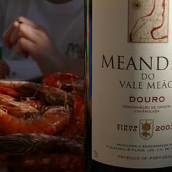 meandro mit gambas