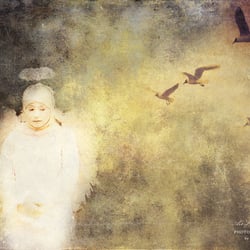 - der engel -