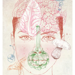 Face