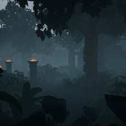 Amazonas_Forest_Shot_9